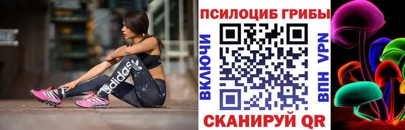 Галлюциногенные грибы Psilocybine cubensis  МЕГА ТОР  Таруса 