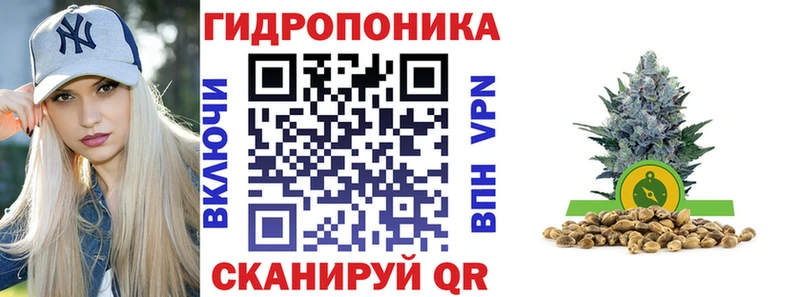 Шишки марихуана Amnesia  как найти наркотики  Таруса 